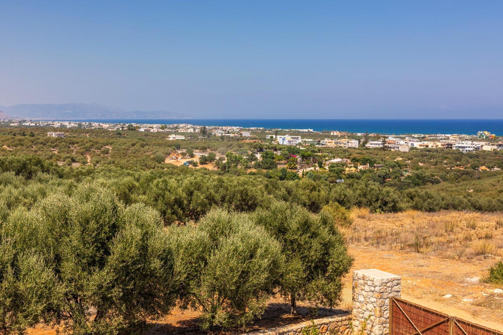 Γηorganic Farm And Houses. Limenas Chersonisou Exterior foto