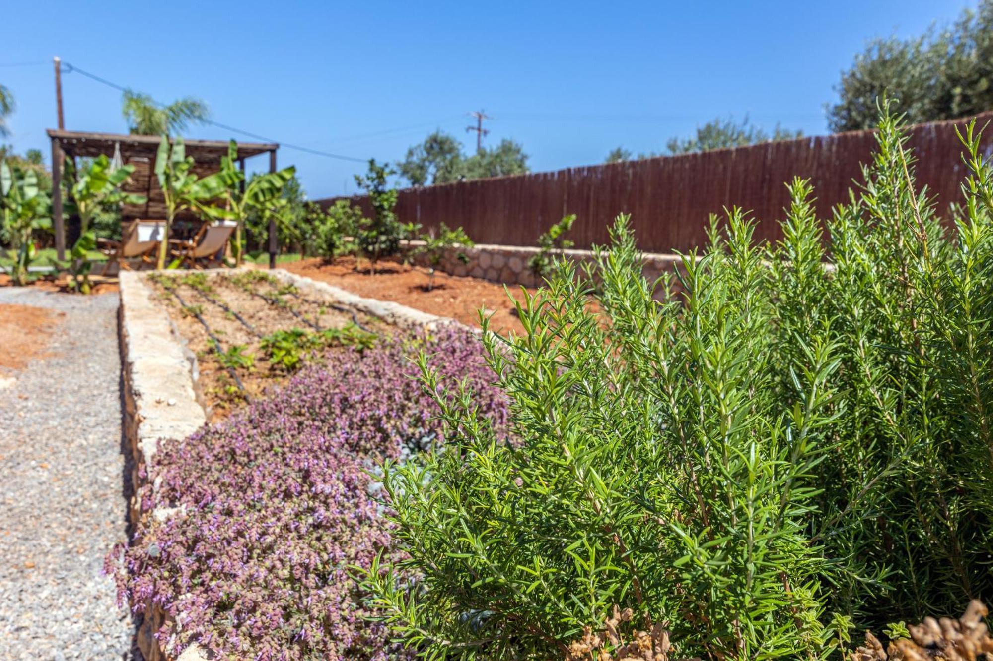 Γηorganic Farm And Houses. Limenas Chersonisou Exterior foto